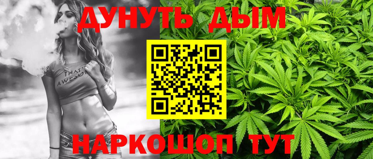 Конопля индика Сунжа